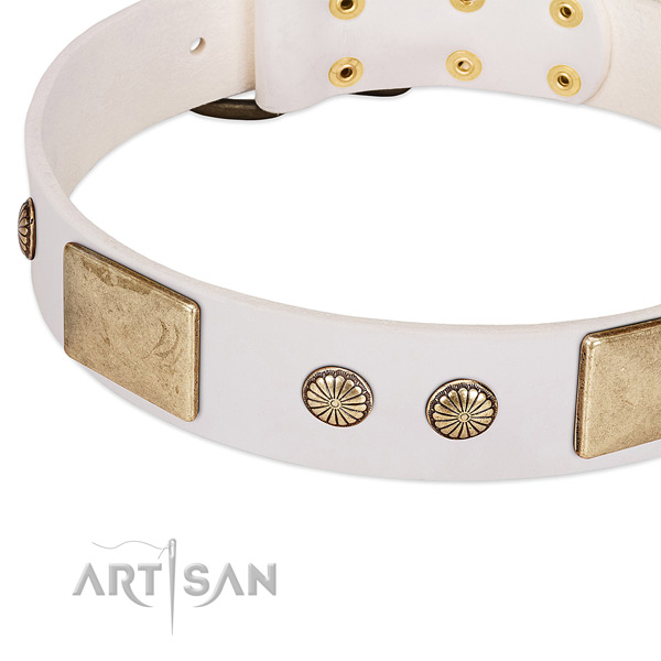 Corrosion resistant embellishments on full grain genuine leather dog collar for your doggie