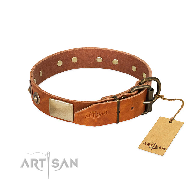 Rust resistant decorations on walking dog collar