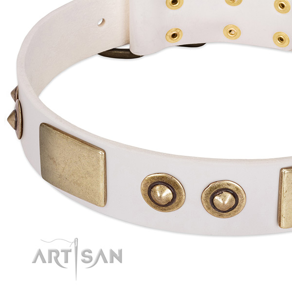 Strong decorations on leather dog collar for your canine