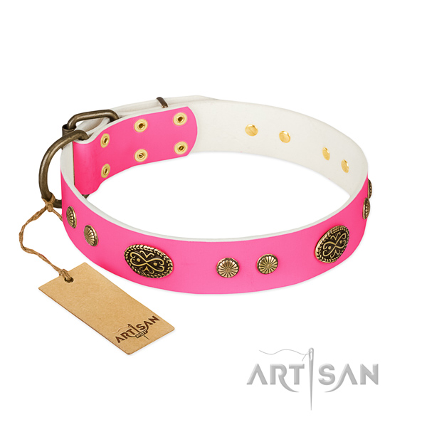 Rust resistant adornments on full grain genuine leather dog collar for your canine