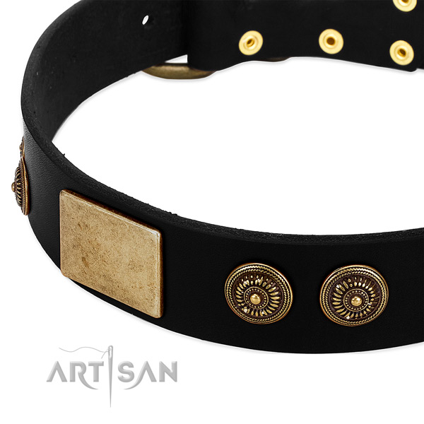 Rust-proof D-ring on genuine leather dog collar for your canine