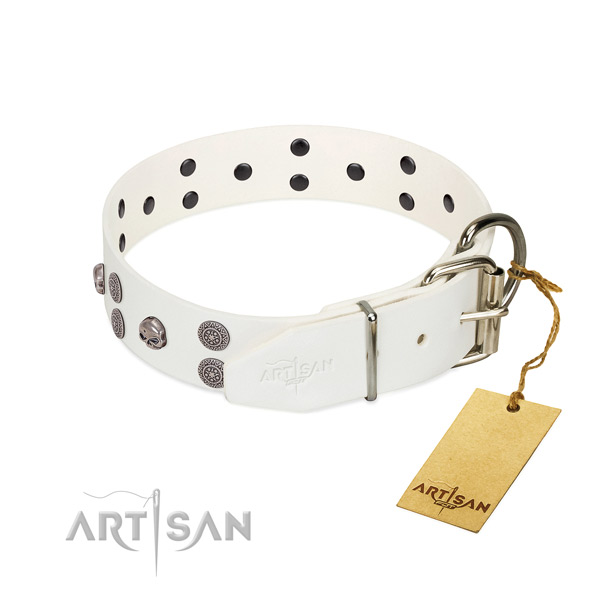 Gentle to touch full grain genuine leather dog collar with adornments for handy use