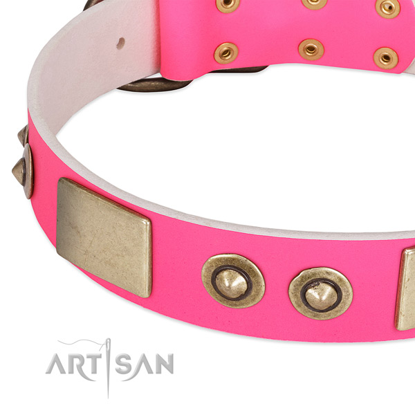 Strong embellishments on full grain leather dog collar for your pet