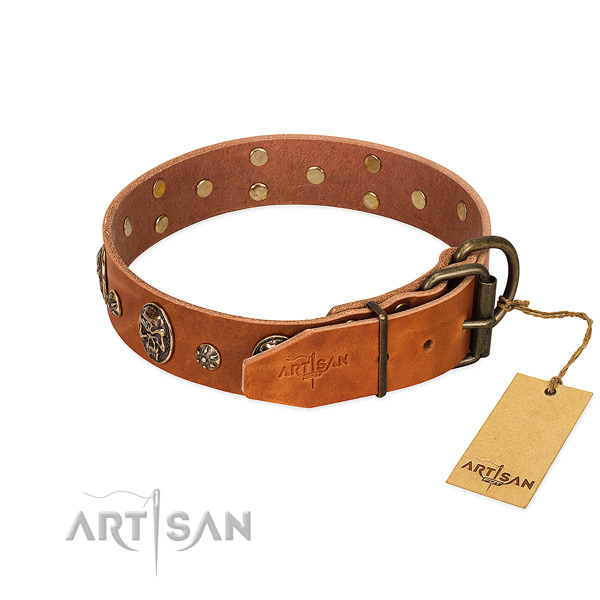 Rust resistant decorations on genuine leather dog collar for your dog
