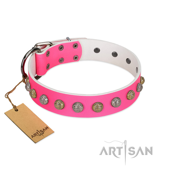 Corrosion resistant traditional buckle on significant full grain genuine leather dog collar