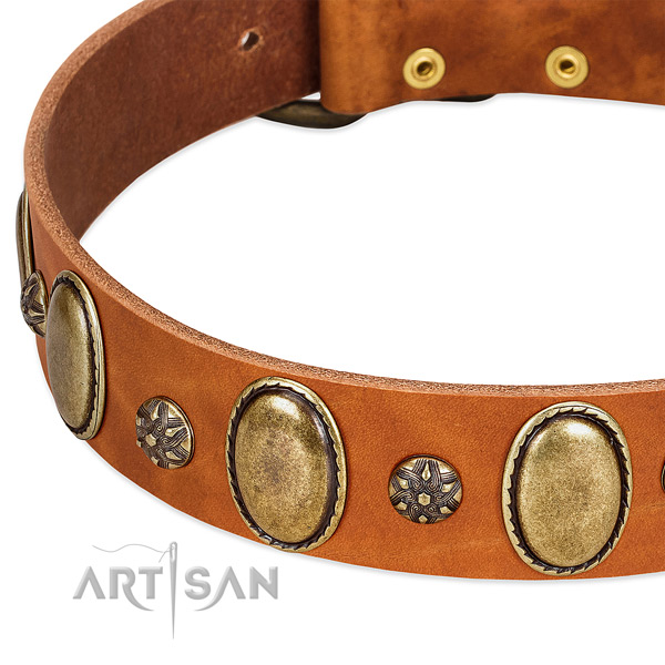 Fancy walking quality leather dog collar