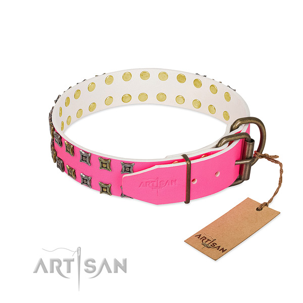 Genuine leather collar with trendy embellishments for your doggie