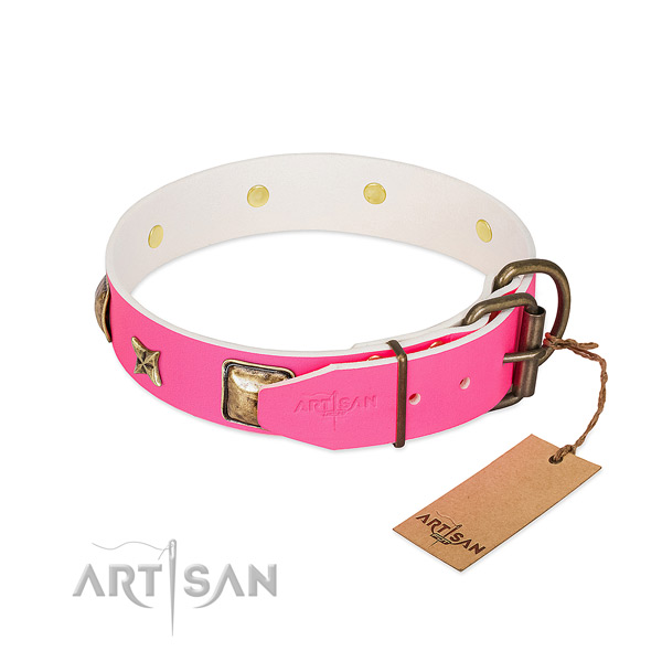 Rust-proof fittings on full grain natural leather collar for everyday walking your pet