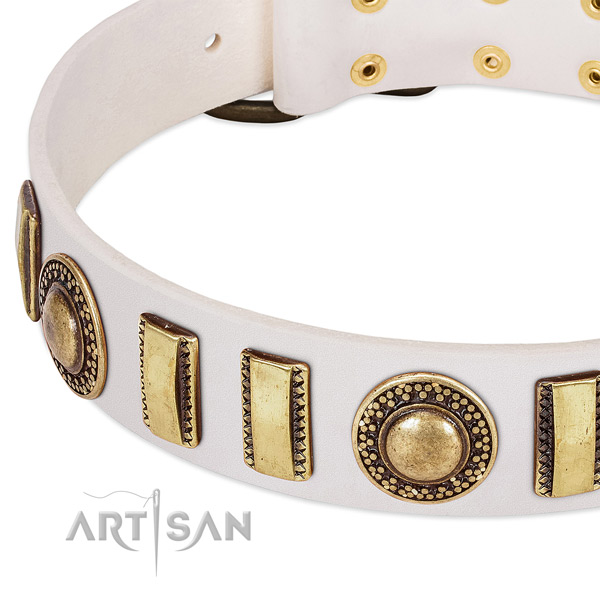 Reliable genuine leather dog collar with rust resistant D-ring