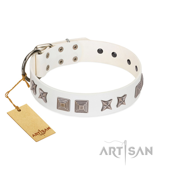 Genuine leather dog collar with stunning adornments crafted pet