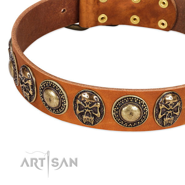 Rust resistant fittings on full grain natural leather dog collar for your dog