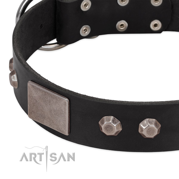 Fancy walking best quality full grain natural leather dog collar