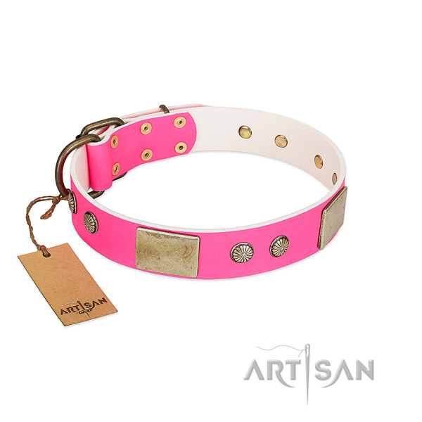 Easy adjustable full grain natural leather dog collar for walking your four-legged friend