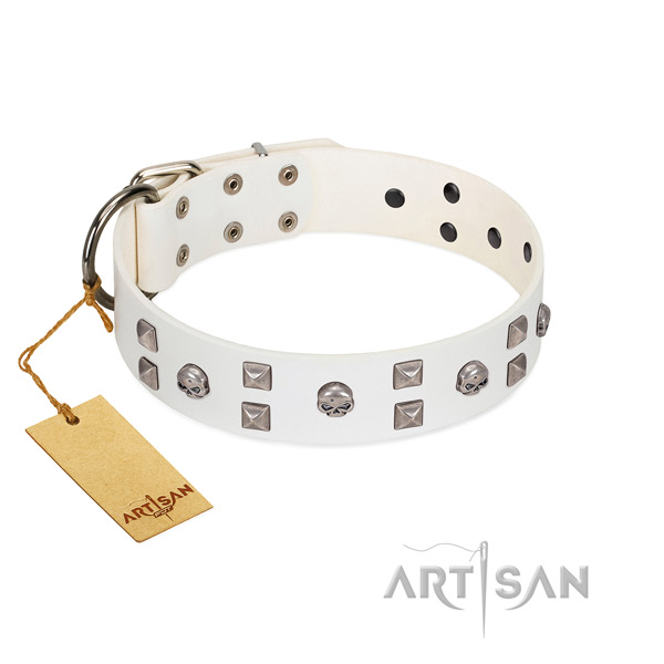 Easy wearing dog collar of genuine leather with awesome adornments