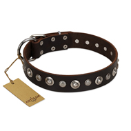 "Gorgeous Shields" FDT Artisan Brown Leather Doberman Collar with Old Silver-like Circles and Small Camomiles "Gorgeous Shields" FDT Artisan Brown Leather Doberman Collar with Old Silver-like Circles and Small Camomiles