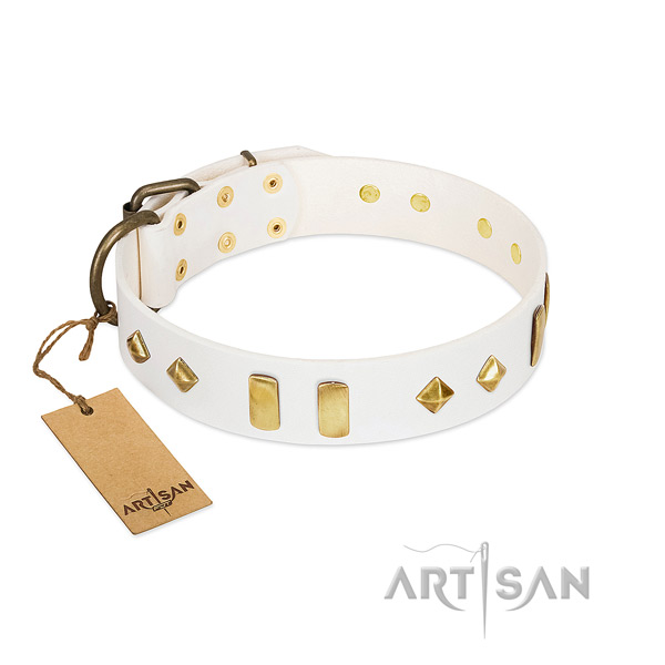 Daily use best quality full grain genuine leather dog collar with decorations