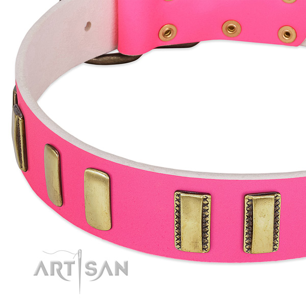 Gentle to touch leather dog collar with decorations for everyday use