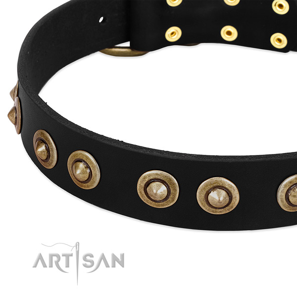 Strong traditional buckle on full grain leather dog collar for your canine