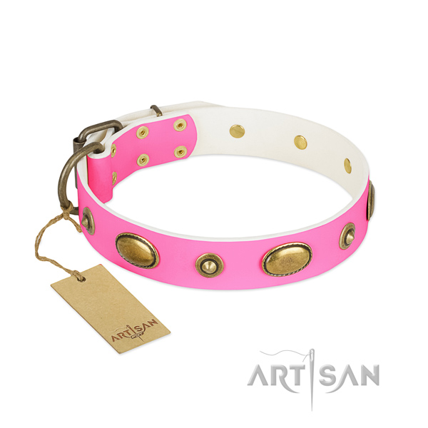 Awesome full grain leather collar for your doggie