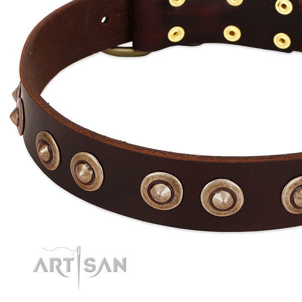 Reliable embellishments on genuine leather dog collar for your four-legged friend