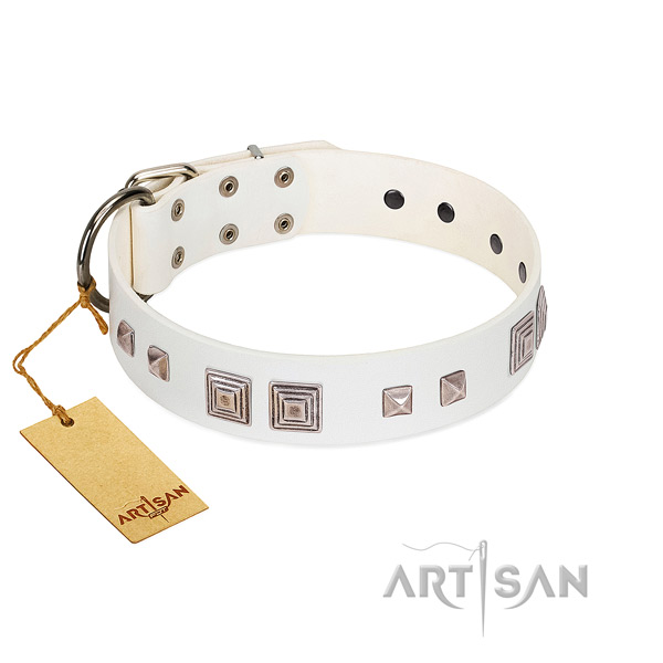 Everyday walking soft leather dog collar