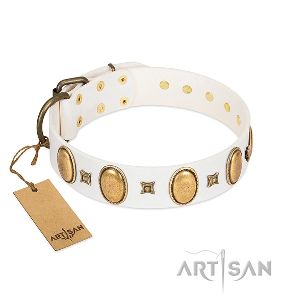 Genuine leather dog collar with unusual adornments for easy wearing