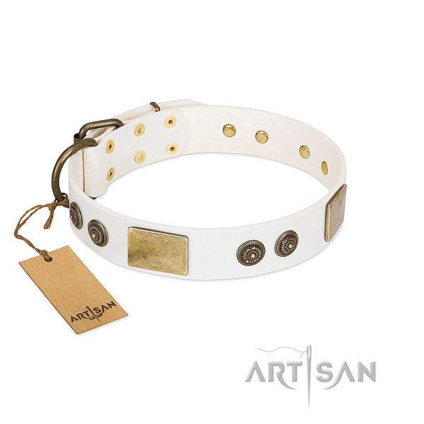Exquisite natural genuine leather dog collar for everyday use