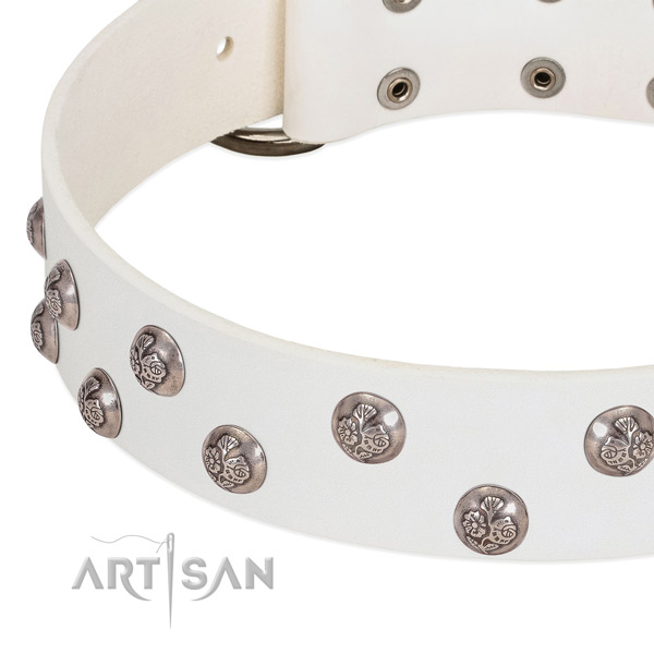 Leather dog collar with reliable buckle and embellishments
