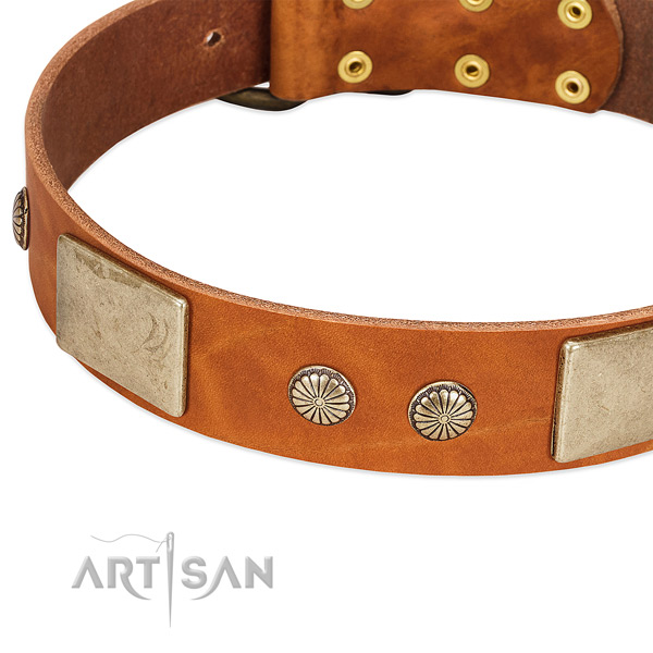 Rust resistant buckle on full grain genuine leather dog collar for your dog