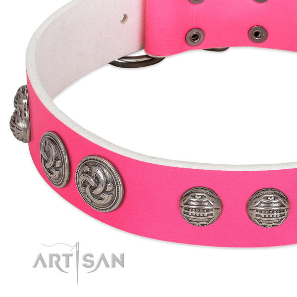Durable traditional buckle on genuine leather collar for daily walking your doggie