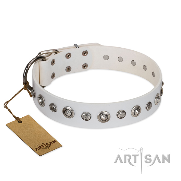 Quality full grain natural leather dog collar with fashionable adornments