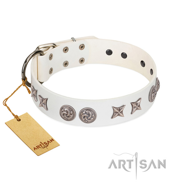 Corrosion proof D-ring on easy to adjust genuine leather dog collar