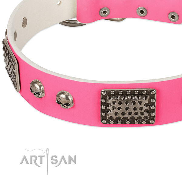 Reliable studs on full grain leather dog collar for your pet