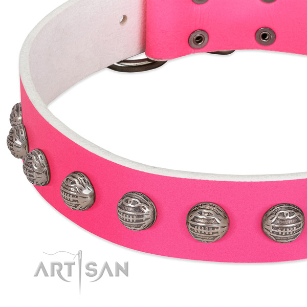 Comfy wearing full grain genuine leather dog collar with designer embellishments