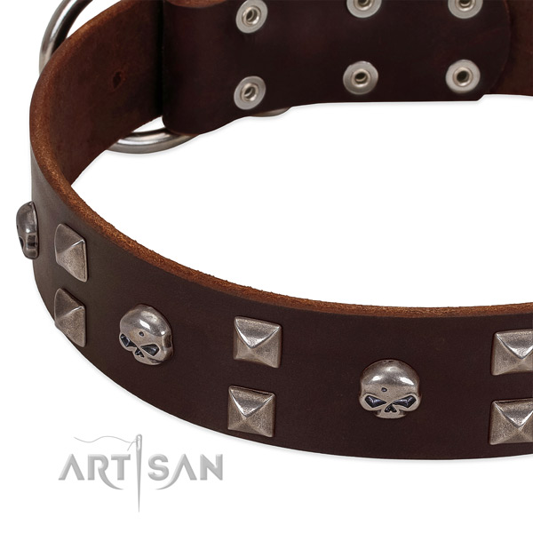Flexible full grain genuine leather dog collar crafted for your dog