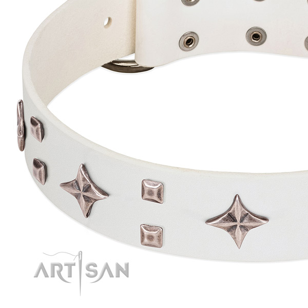 Awesome full grain genuine leather dog collar for handy use