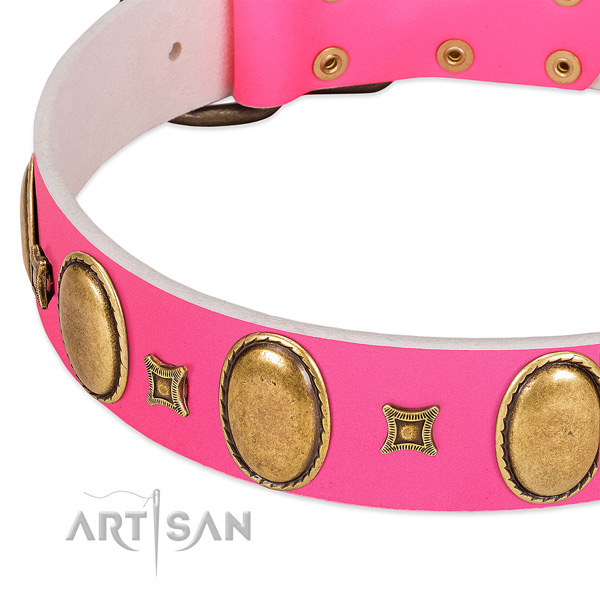 Top notch full grain natural leather dog collar with adornments for daily walking