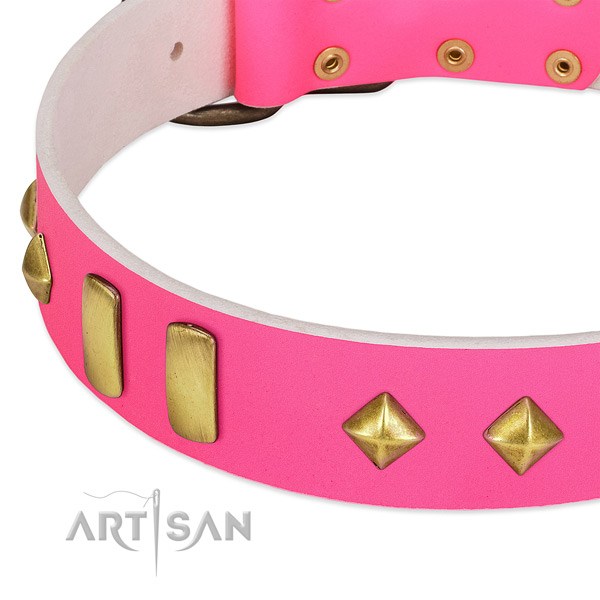 Top notch genuine leather dog collar with unique decorations
