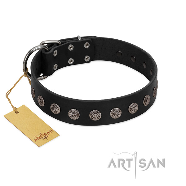 Incredible genuine leather collar for your dog
