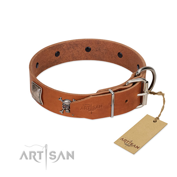 Amazing full grain leather collar for your beautiful canine