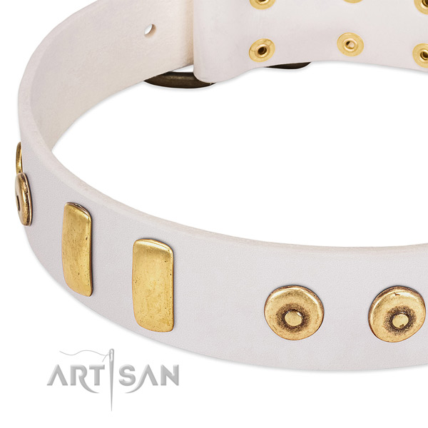 Gentle to touch genuine leather collar with impressive decorations for your dog