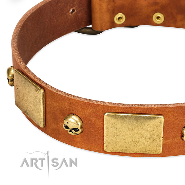Gentle to touch natural leather dog collar with corrosion resistant D-ring