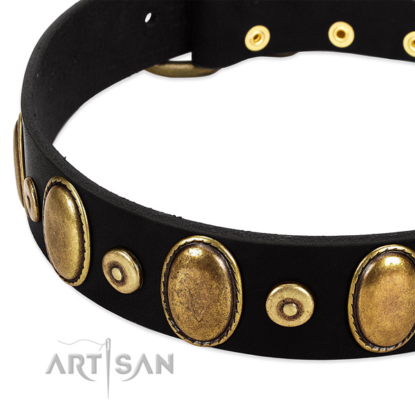 Adorned full grain genuine leather collar for your lovely pet