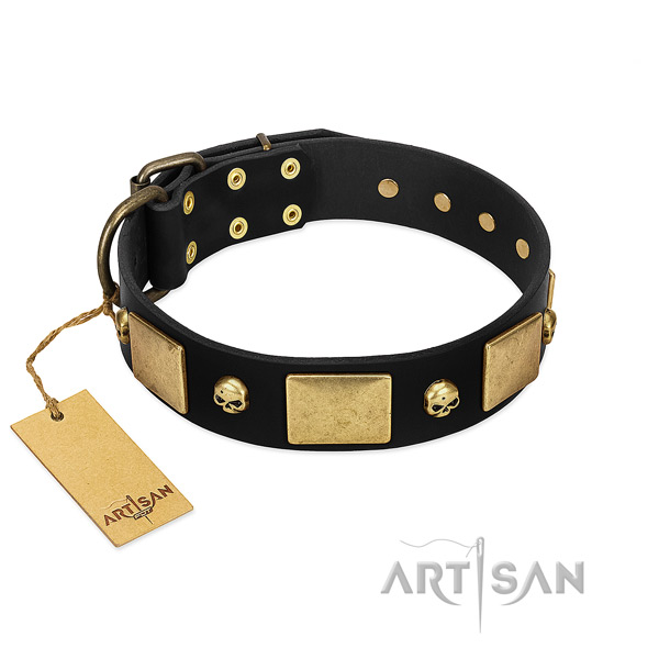 Rust-proof hardware on dog collar for everyday walking