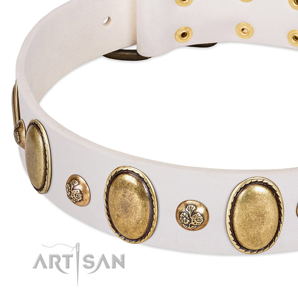 Full grain natural leather dog collar with amazing adornments