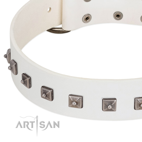 Soft full grain leather dog collar with impressive embellishments