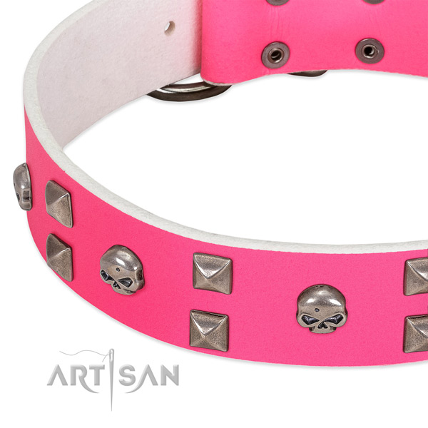 Full grain leather collar with remarkable adornments for your canine