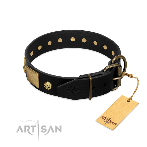 Corrosion resistant traditional buckle on daily use collar for your canine