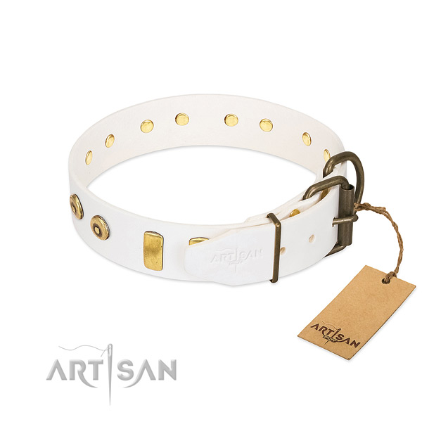 Top notch embellished full grain genuine leather dog collar of reliable material