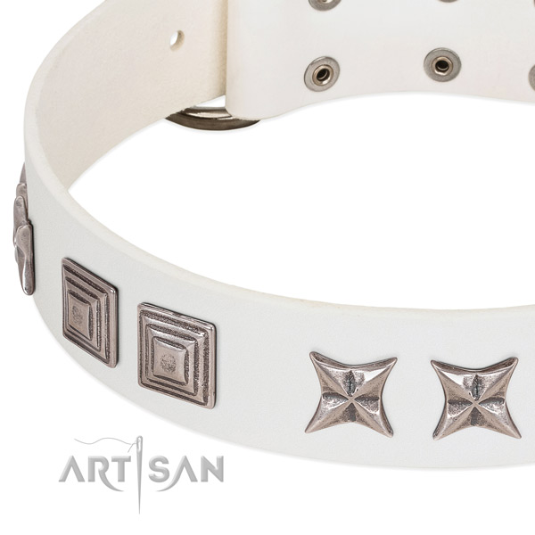Stylish walking genuine leather dog collar with trendy decorations